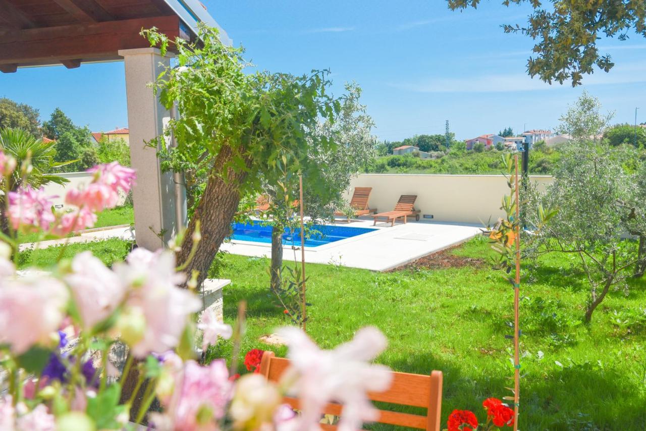 Holiday Home - Istrian Dream With Swimming Pool Peroj Exterior photo